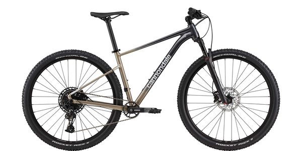 Cannondale Trail SL 1, Meteor Gray